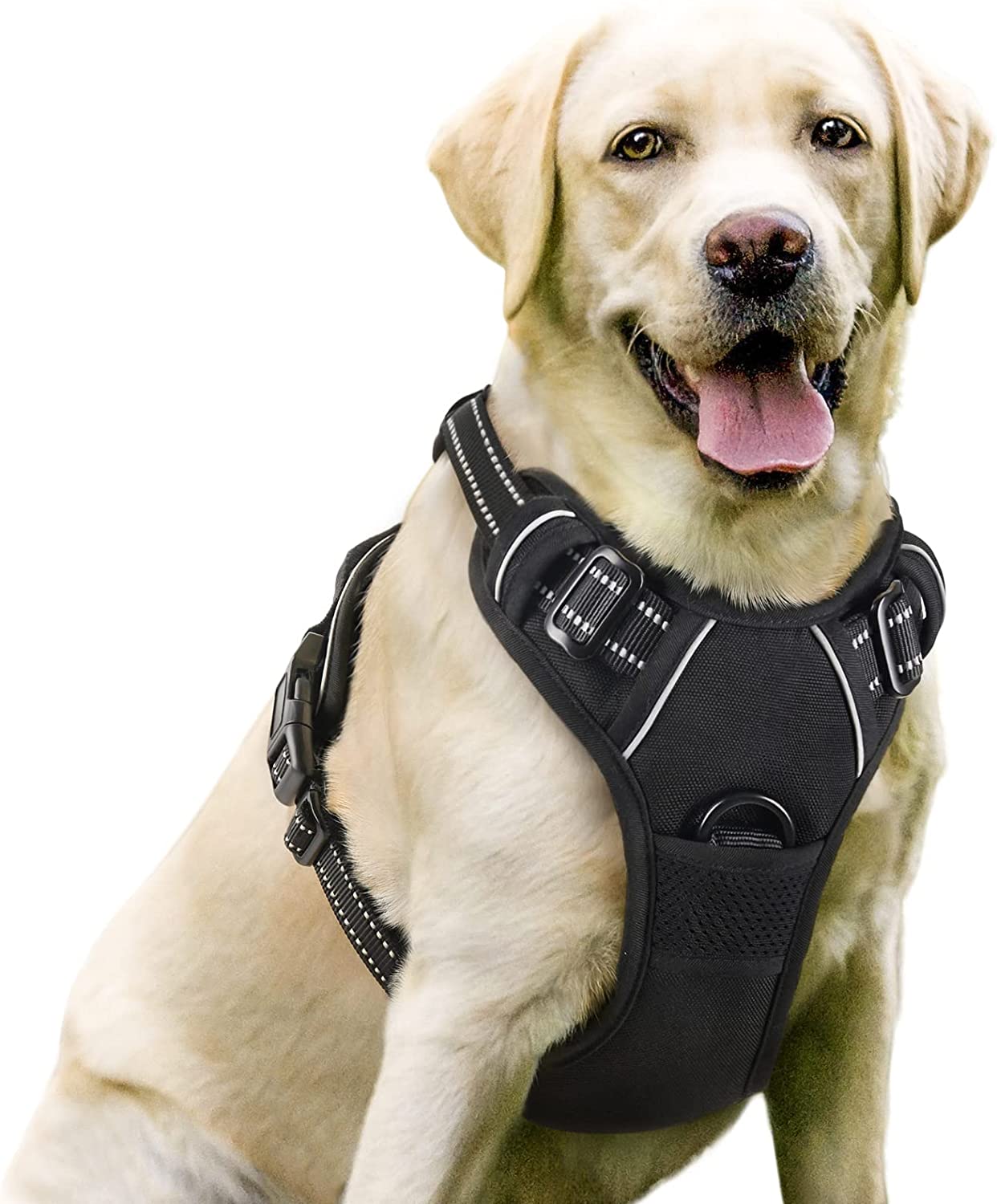 Dog Harness with handle
